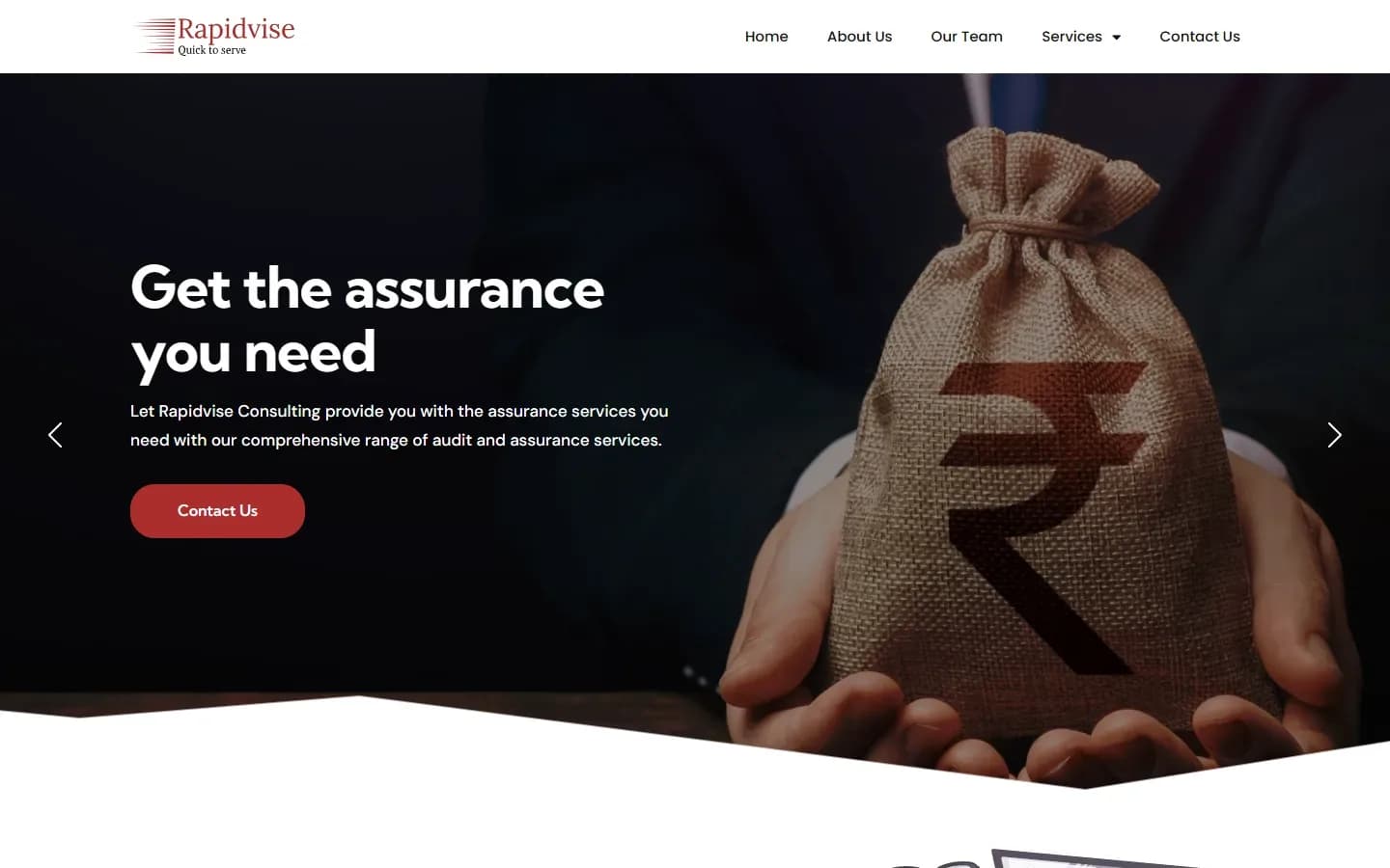 Rapidvise Consulting website homepage for audit and tax advisory